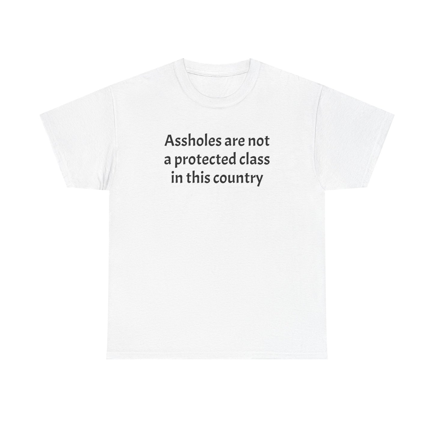 Unisex "Assholes are not a protected class"