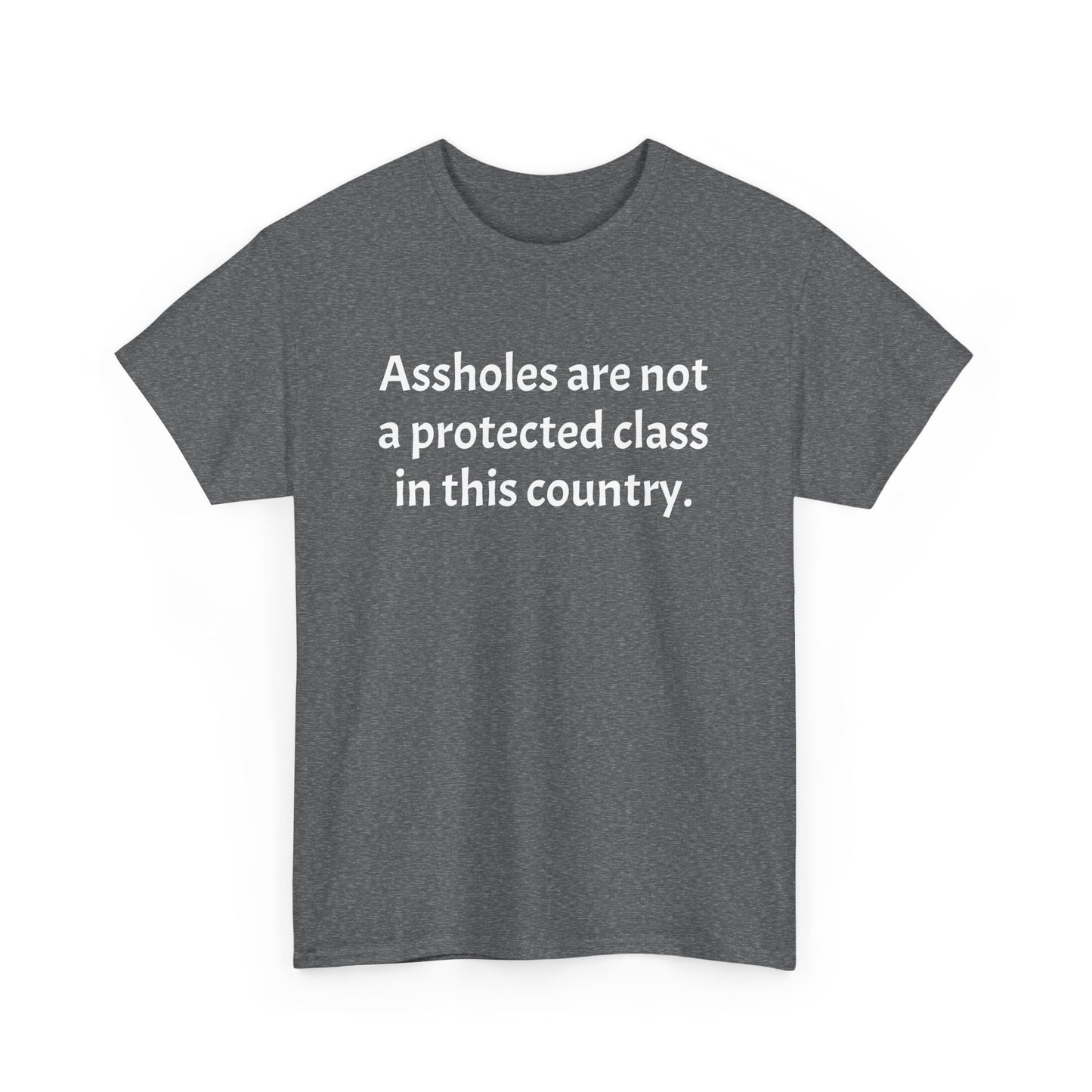 Unisex "Assholes are not a protected class"
