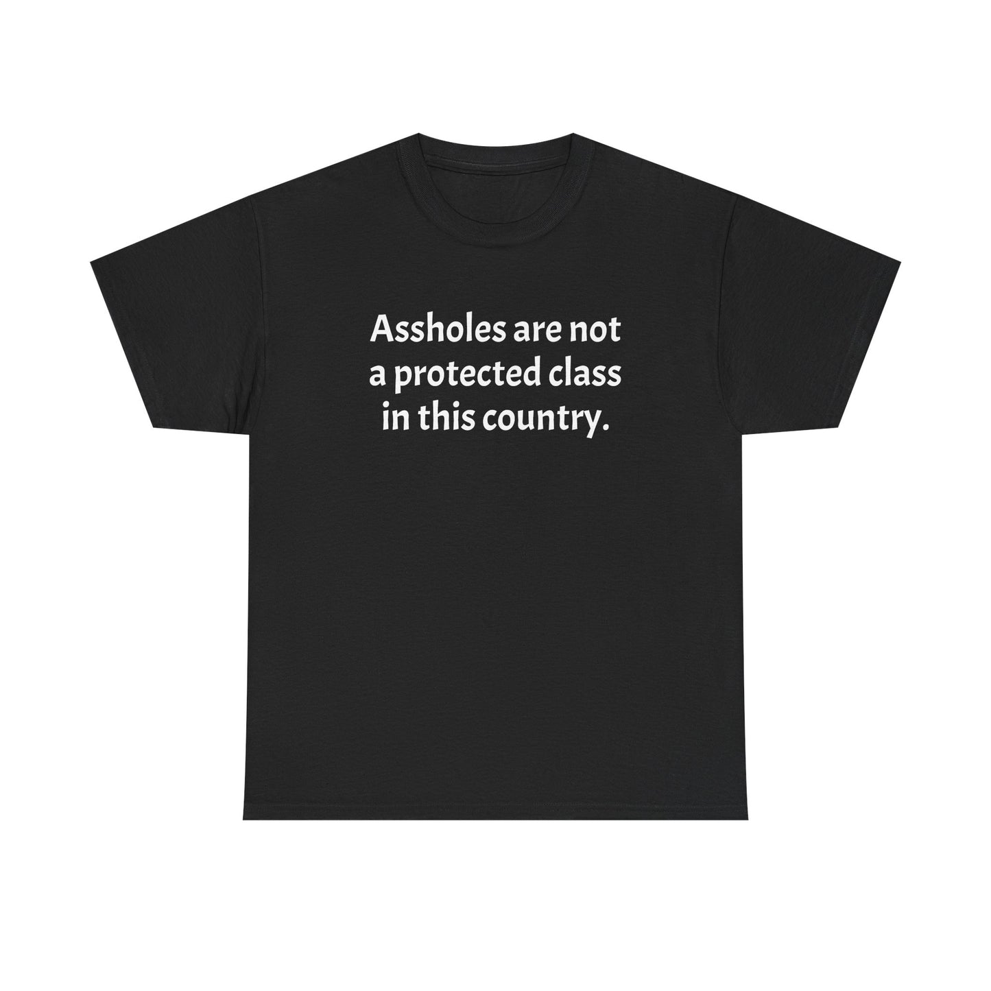 Unisex "Assholes are not a protected class"