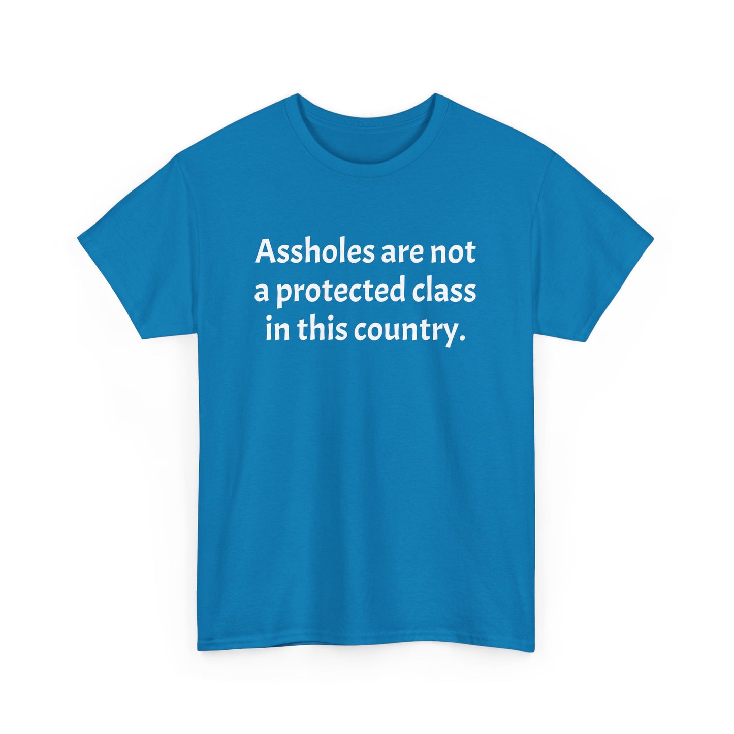 Unisex "Assholes are not a protected class"