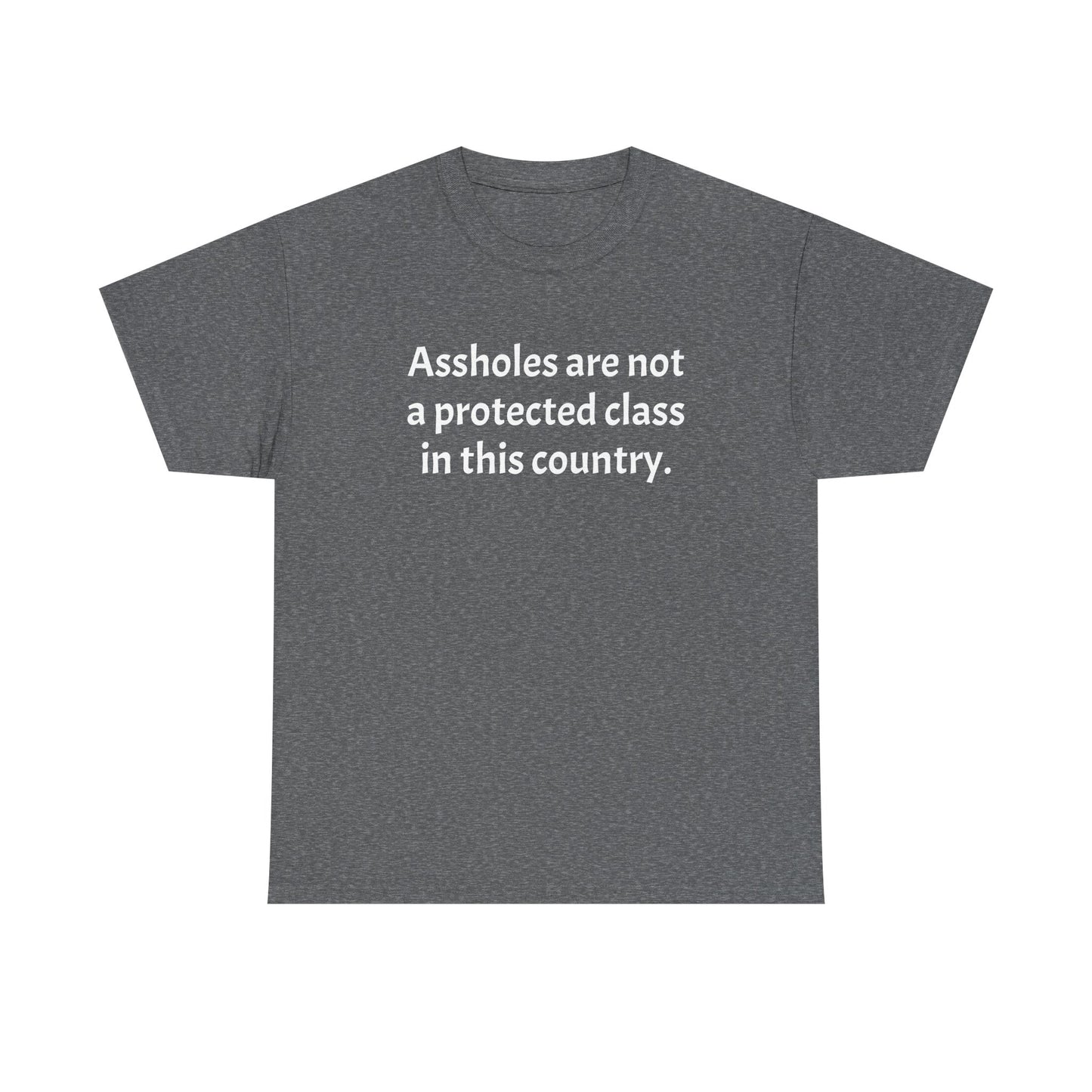 Unisex "Assholes are not a protected class"
